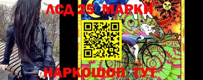 гашик Бийск