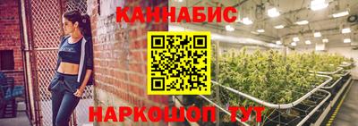 гашик Бийск