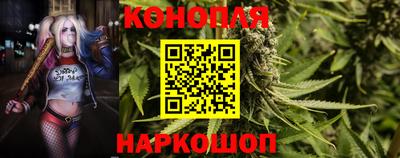гашик Бийск