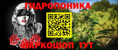 ПСИЛОЦИБИНОВЫЕ ГРИБЫ Беслан