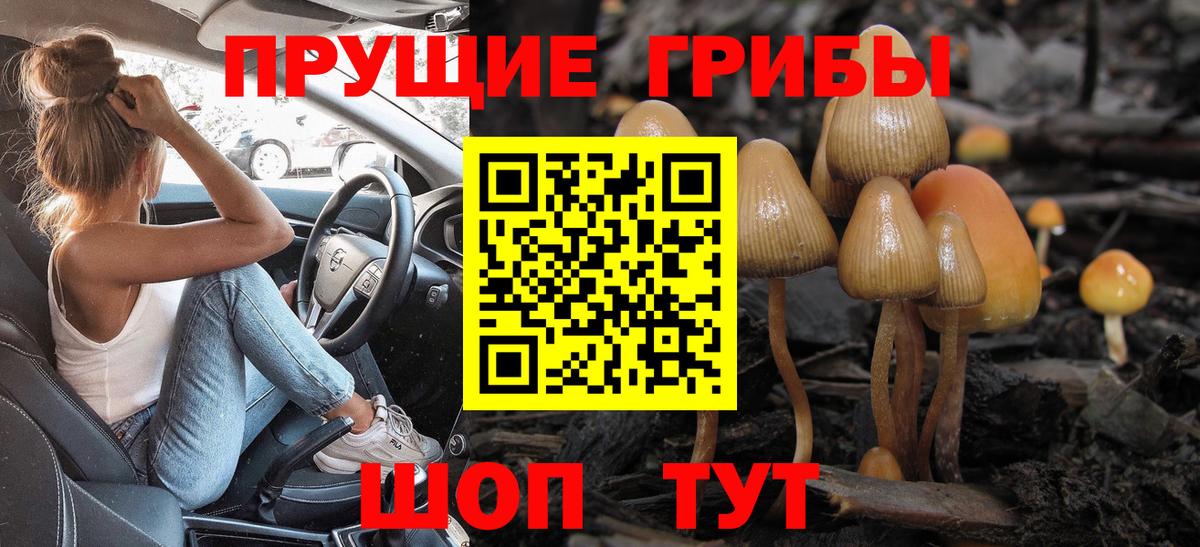 Галлюциногенные грибы ЛСД Изобильный